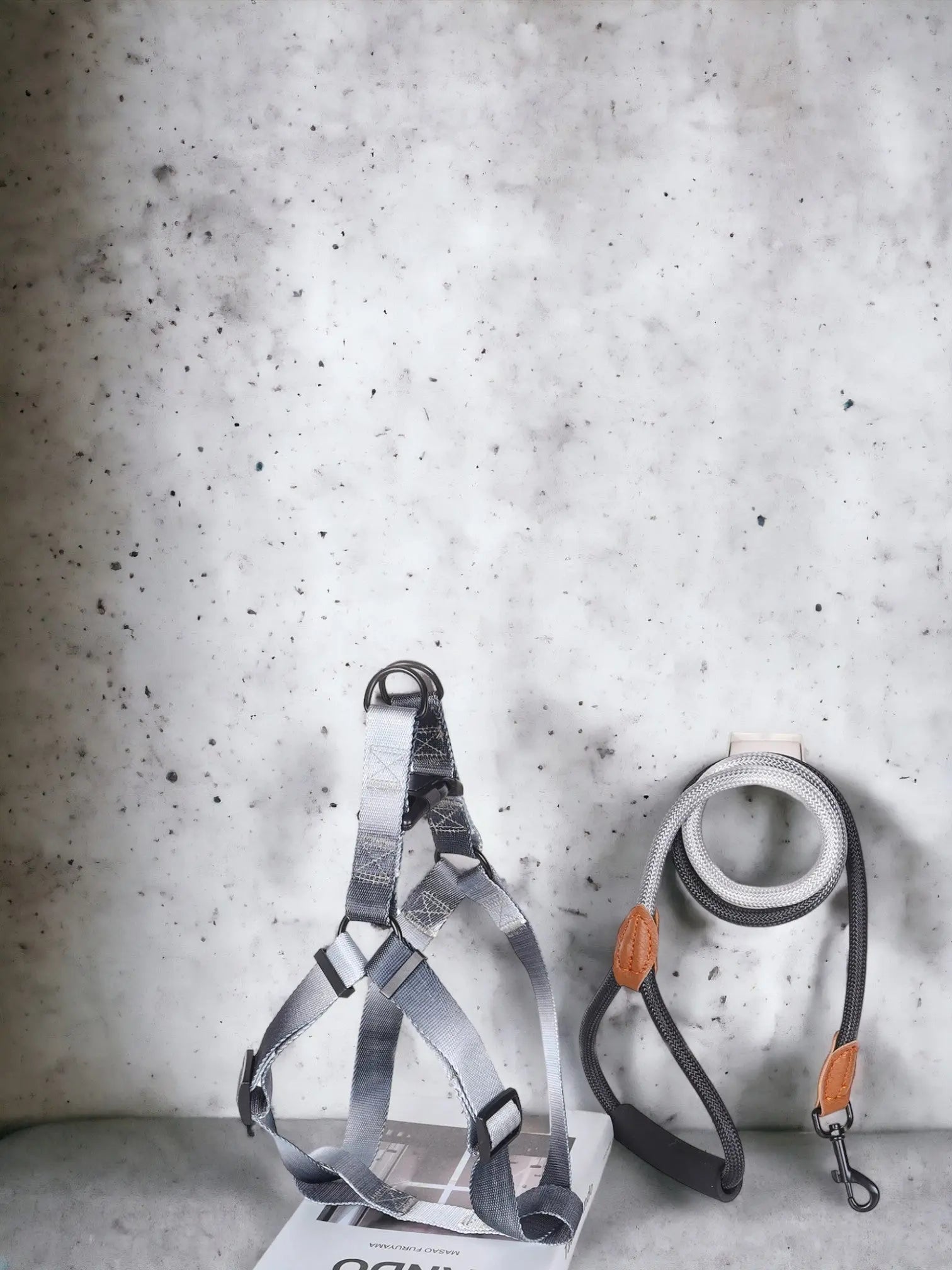 Ombre Harness and Leash Set The Little Pooch