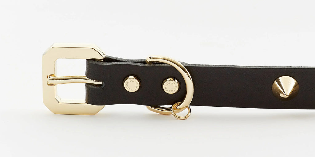 The Golden Spike Black Collar Emerald Alfie