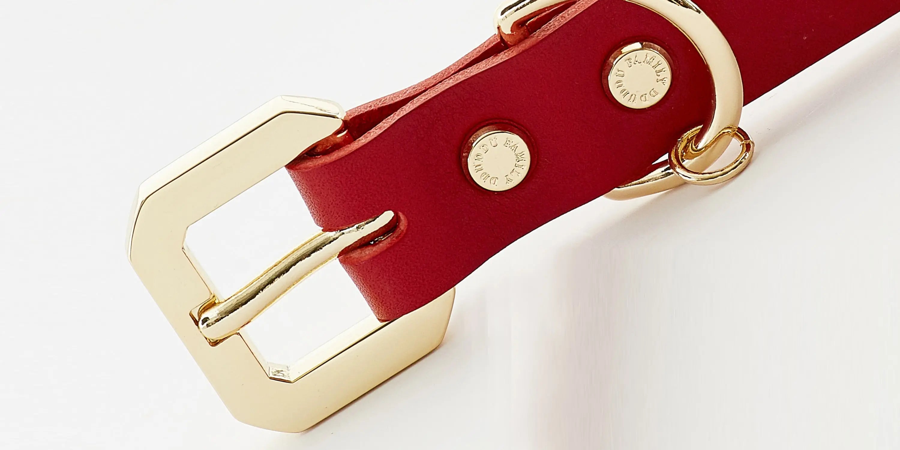 Golden Spike Dog Collar Emerald Alfie