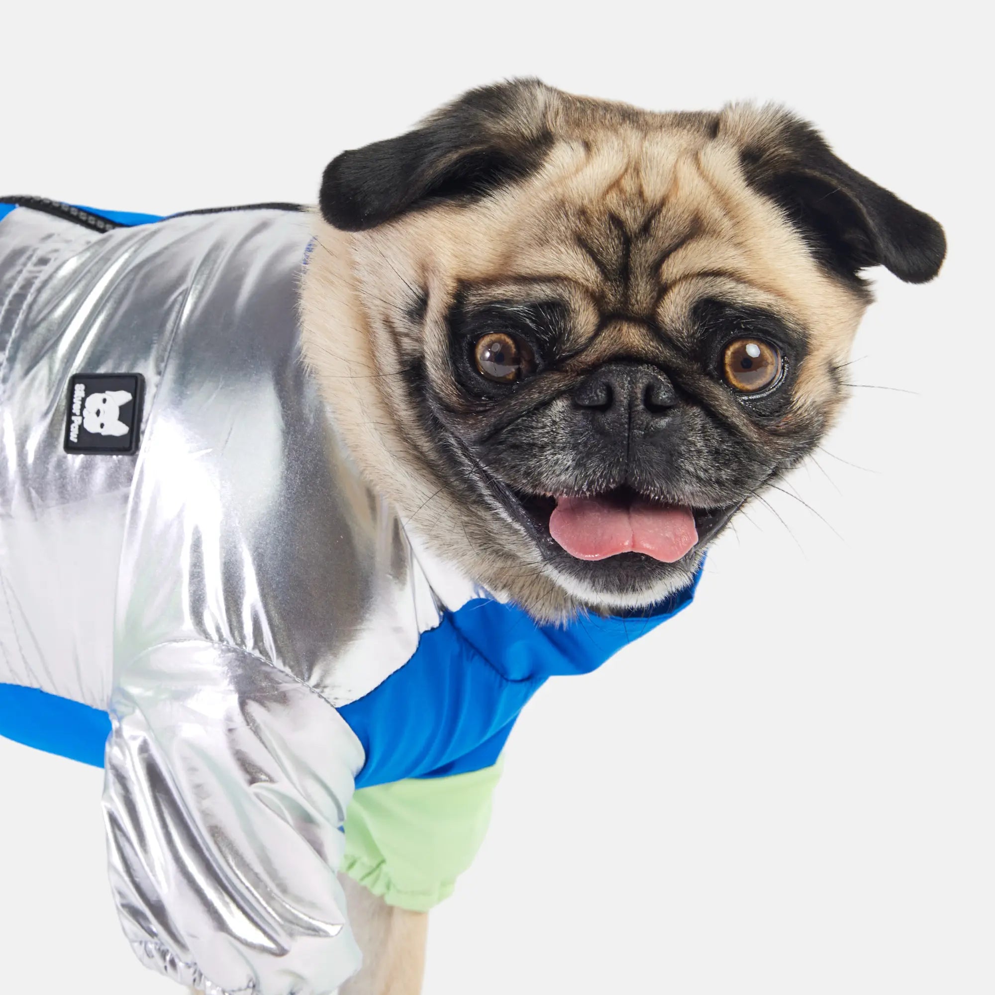 Ricki Dog Tracksuit - Blue Copper Nesoi