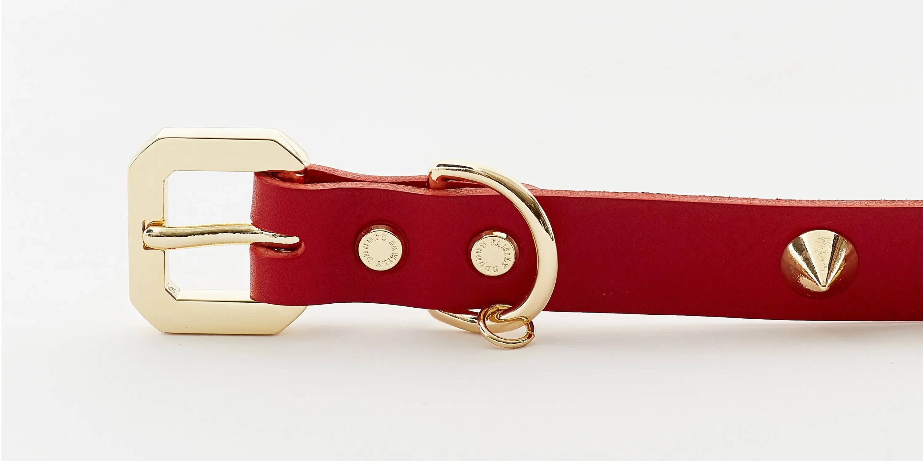 Golden Spike Dog Collar Emerald Alfie