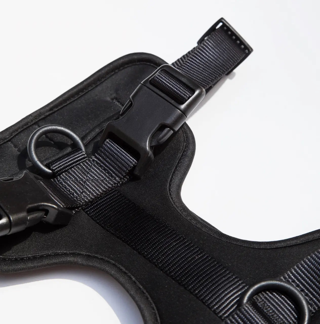 Lightweight Adjustable Cushioned Dog Harness Set SilverPaw