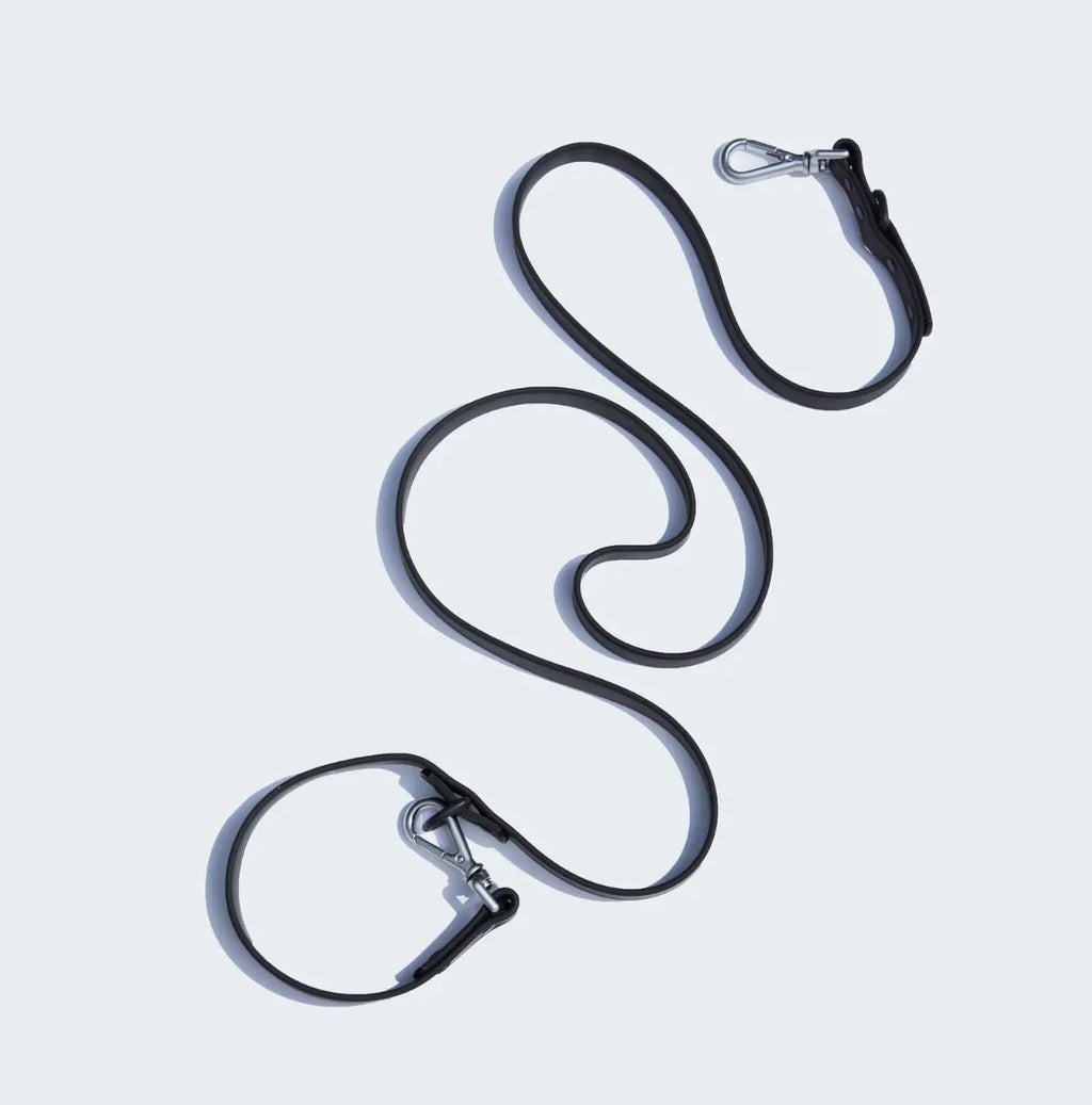 Lightweight Adjustable Cushioned Dog Harness Set SilverPaw