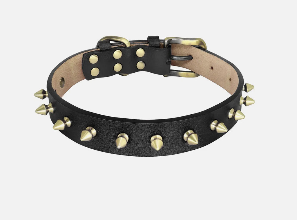 Golden Spike Dog Collar Emerald Alfie