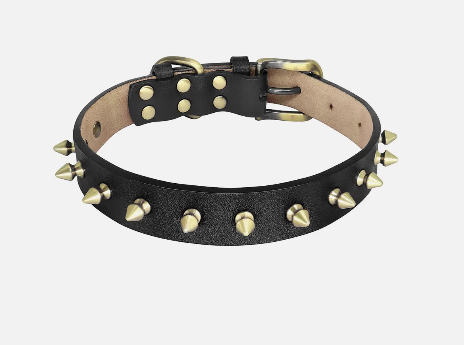 Golden Spike Dog Collar Emerald Alfie