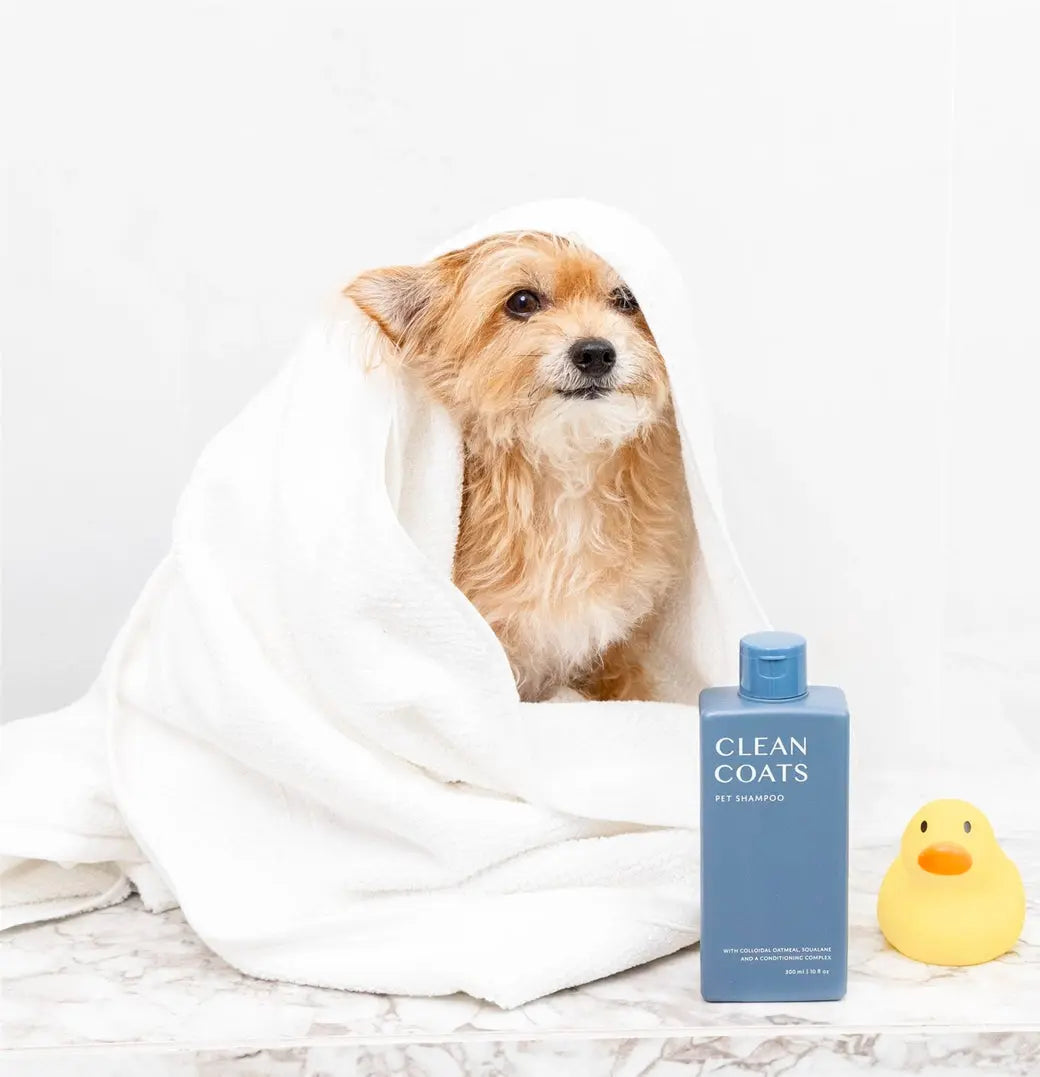 Clean Coats Sensitive Shampoo Clean Coats