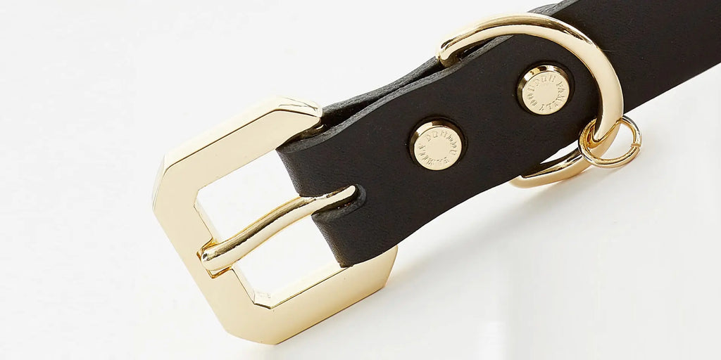 The Golden Spike Black Collar Emerald Alfie