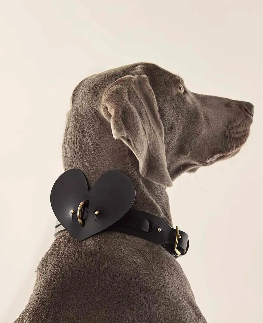 Leather Dog Heart Collar Accessory INDÓMITO