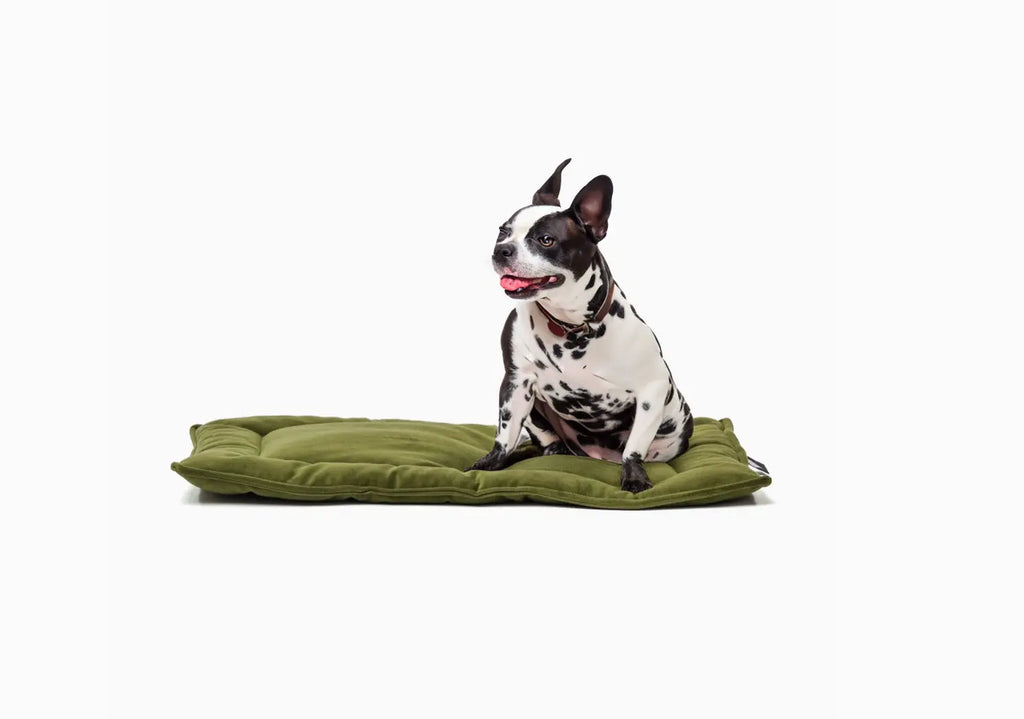 Luxury Reversible Dog Mat – Washable Velvet or Canvas Crate Pad Reversible Dog Mat – Washable Velvet or Canvas Crate Pad – Plush, USA-Made Pet Bed for Everyday Use – Machine Washable Dog Mat for Crate, Travel, or Home Treat your pet to comfort and style w