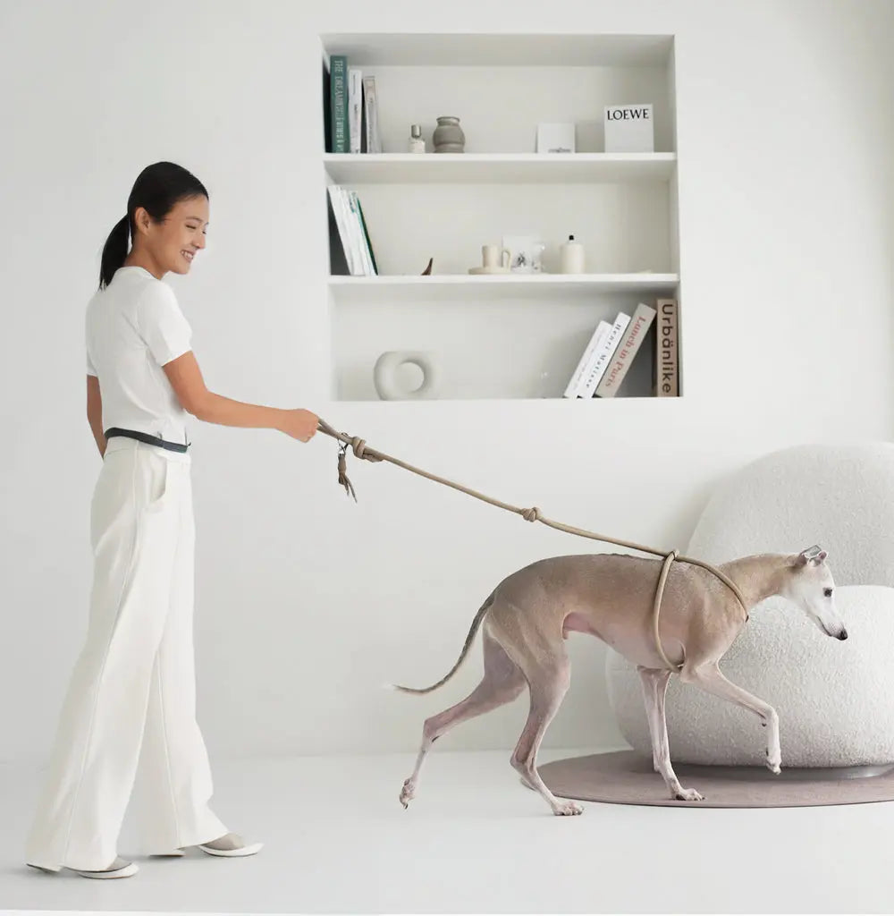 Y-Elite All-in-One Harness Leash Hozi