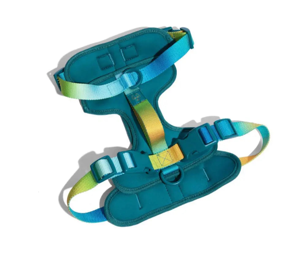 The Joey Harness Papyrus