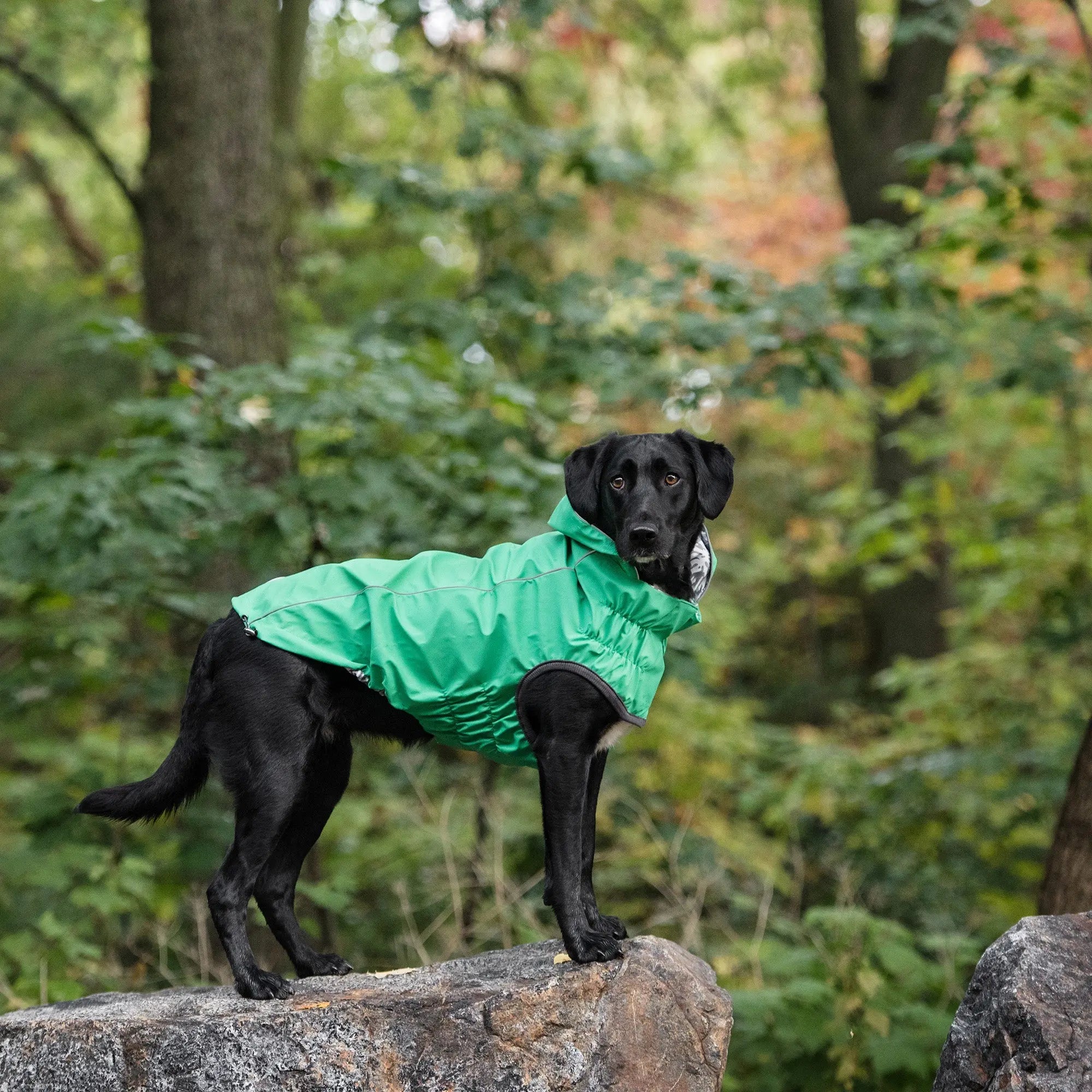 The Reversible Elasto-Fit Raincoat - Green Beige Antigone