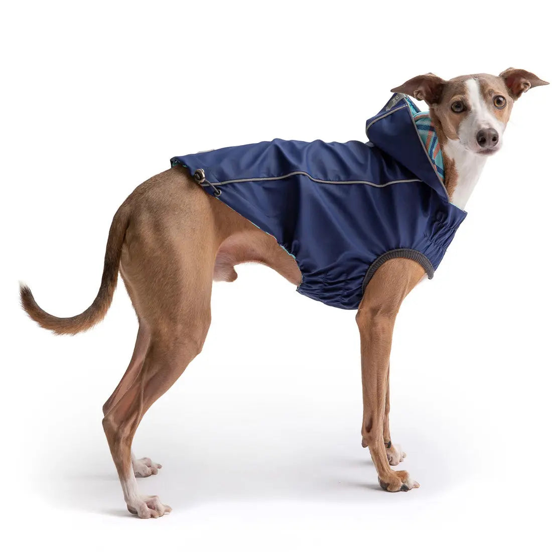 The Reversible Elasto-Fit Raincoat - Navy Beige Antigone