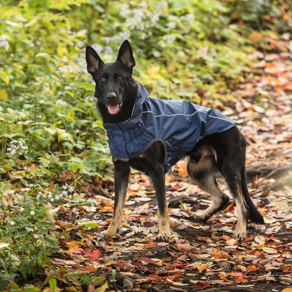 The Reversible Elasto-Fit Raincoat - Navy Beige Antigone