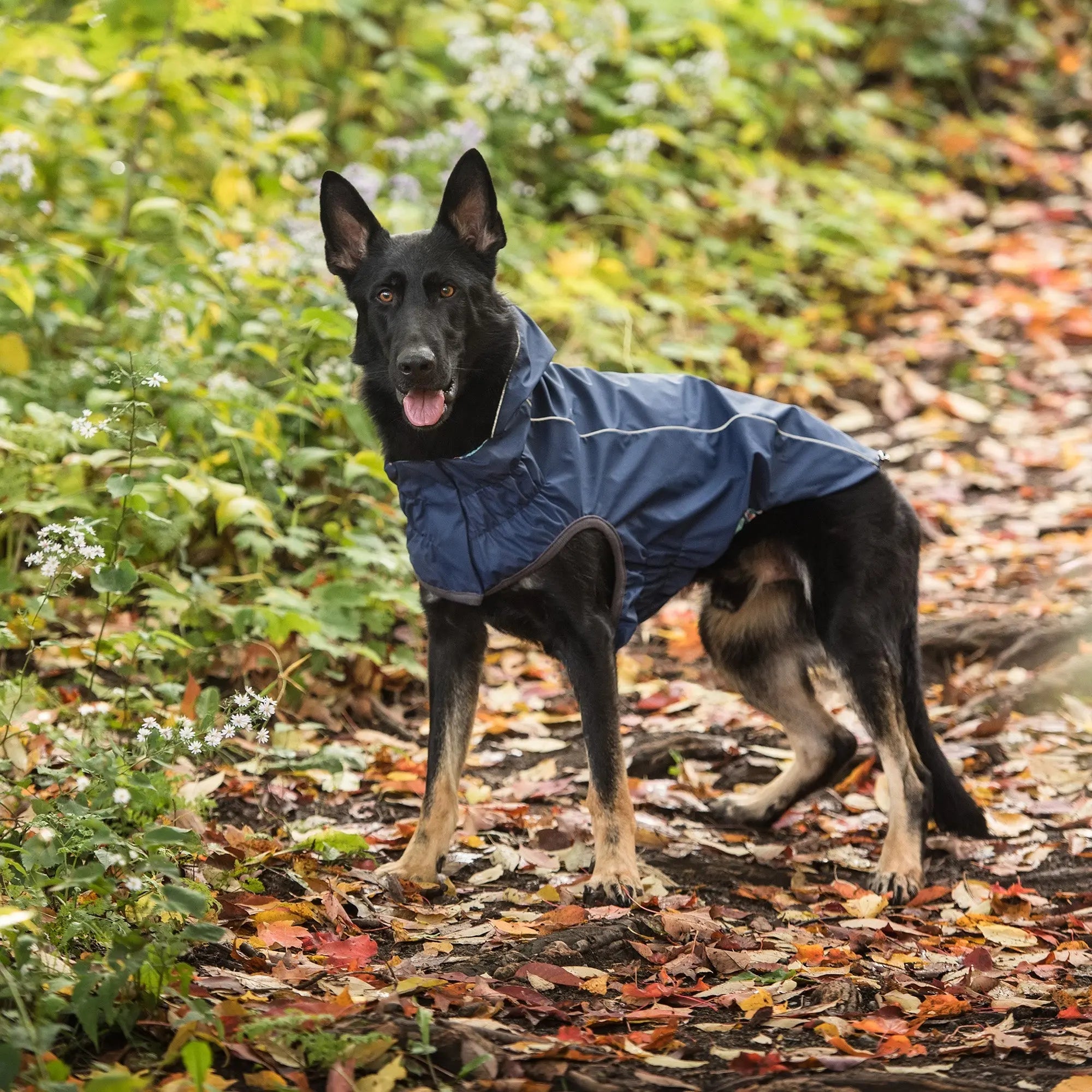 The Reversible Elasto-Fit Raincoat - Navy Beige Antigone
