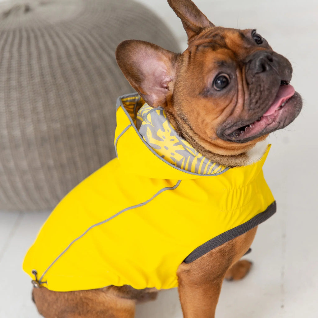 The Reversible Elasto-Fit Raincoat - Yellow Beige Antigone