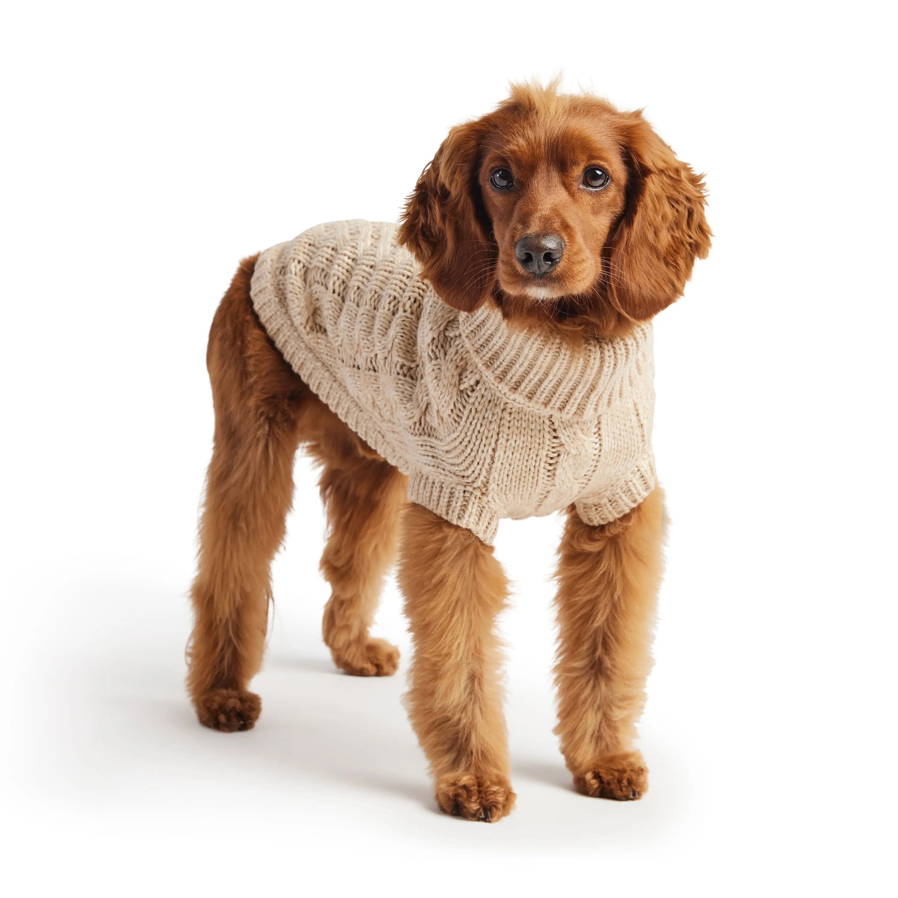 The Chalet Sweater - Oatmeal Beige Antigone