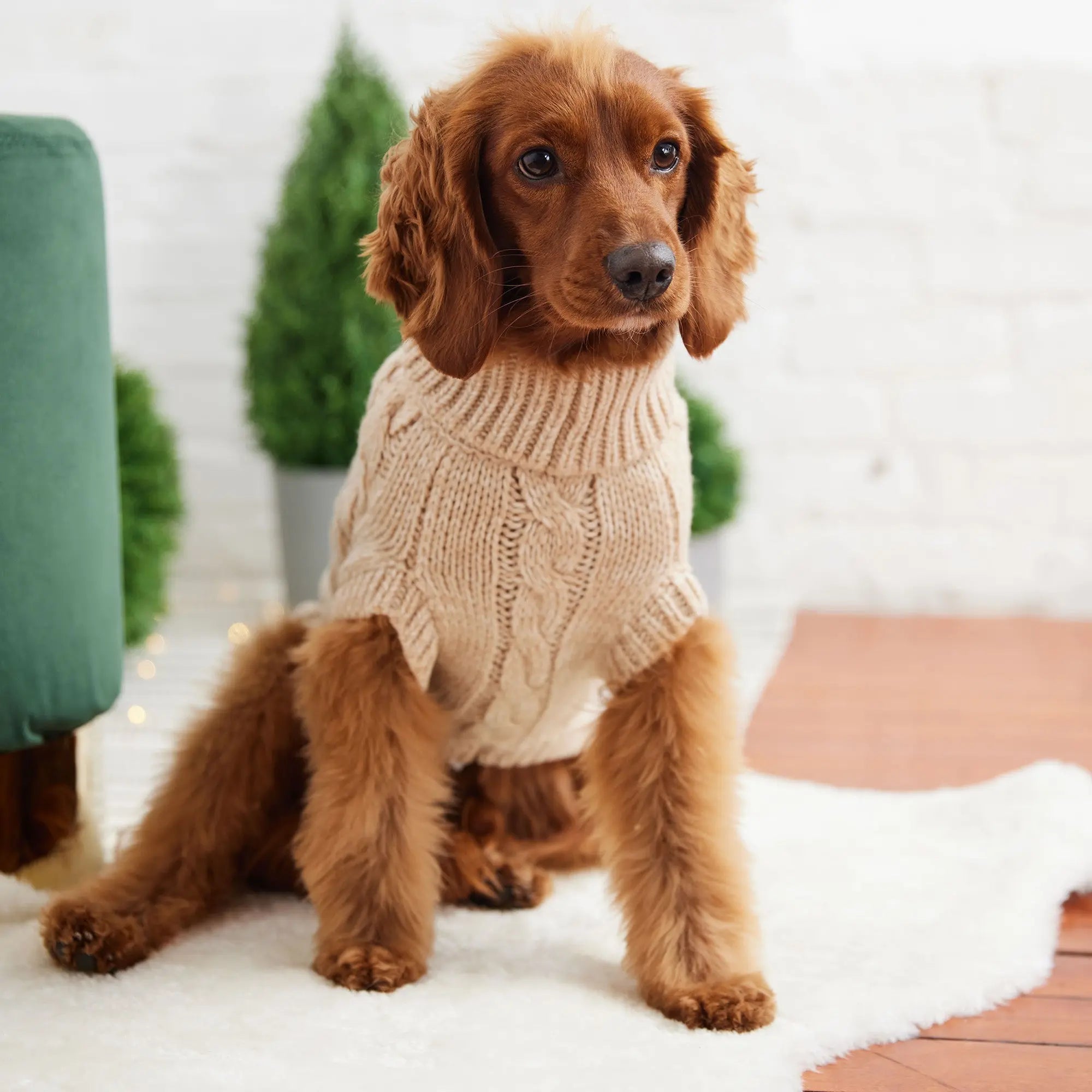 The Chalet Sweater - Oatmeal Beige Antigone