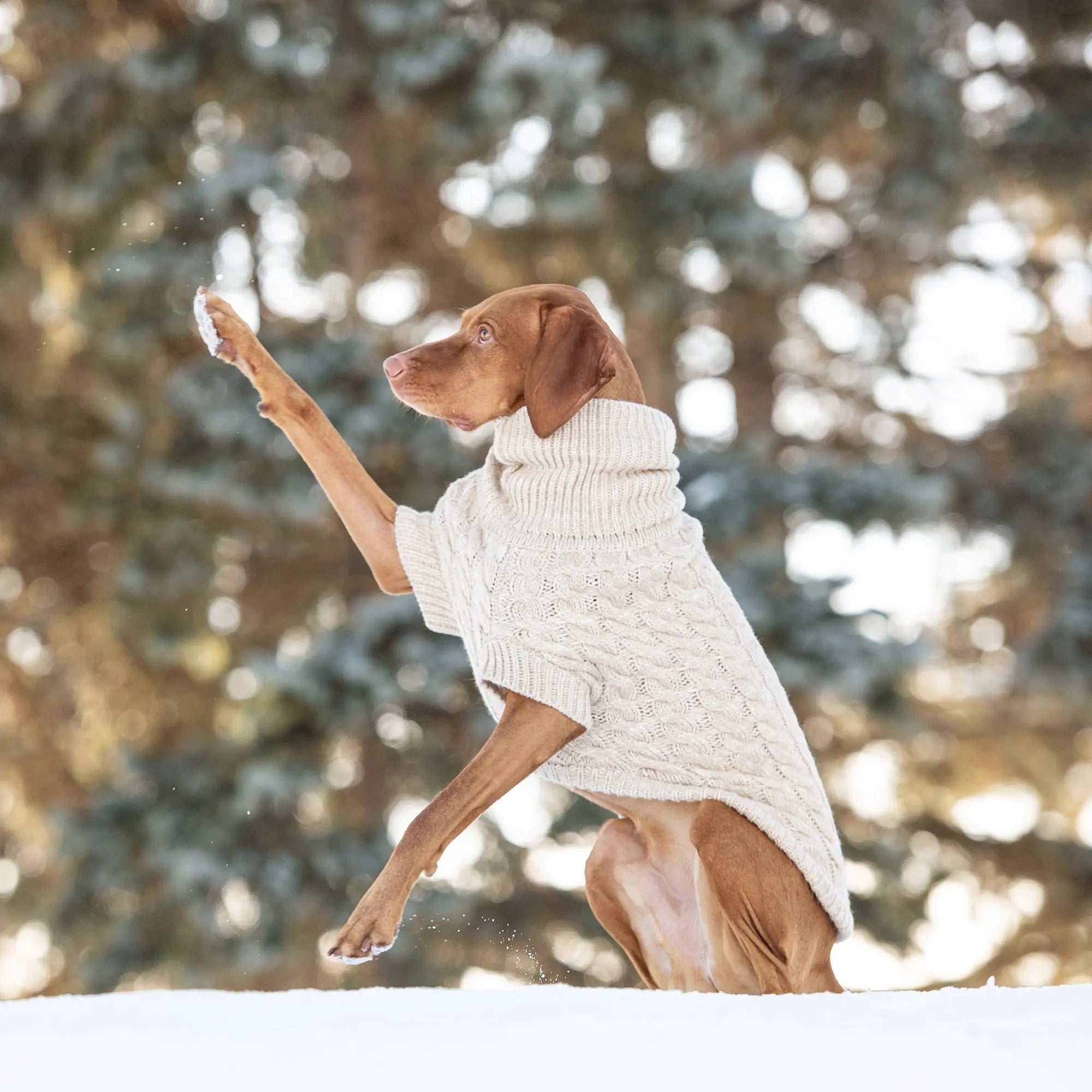 The Chalet Sweater - Oatmeal Beige Antigone