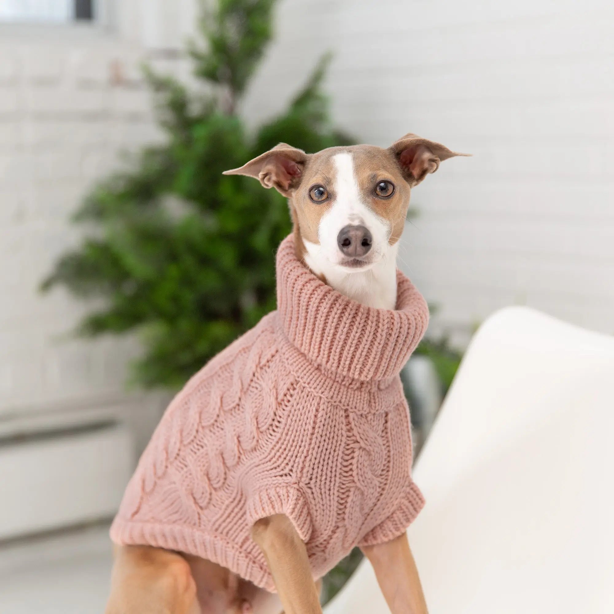 The Chalet Sweater - Pink Beige Antigone
