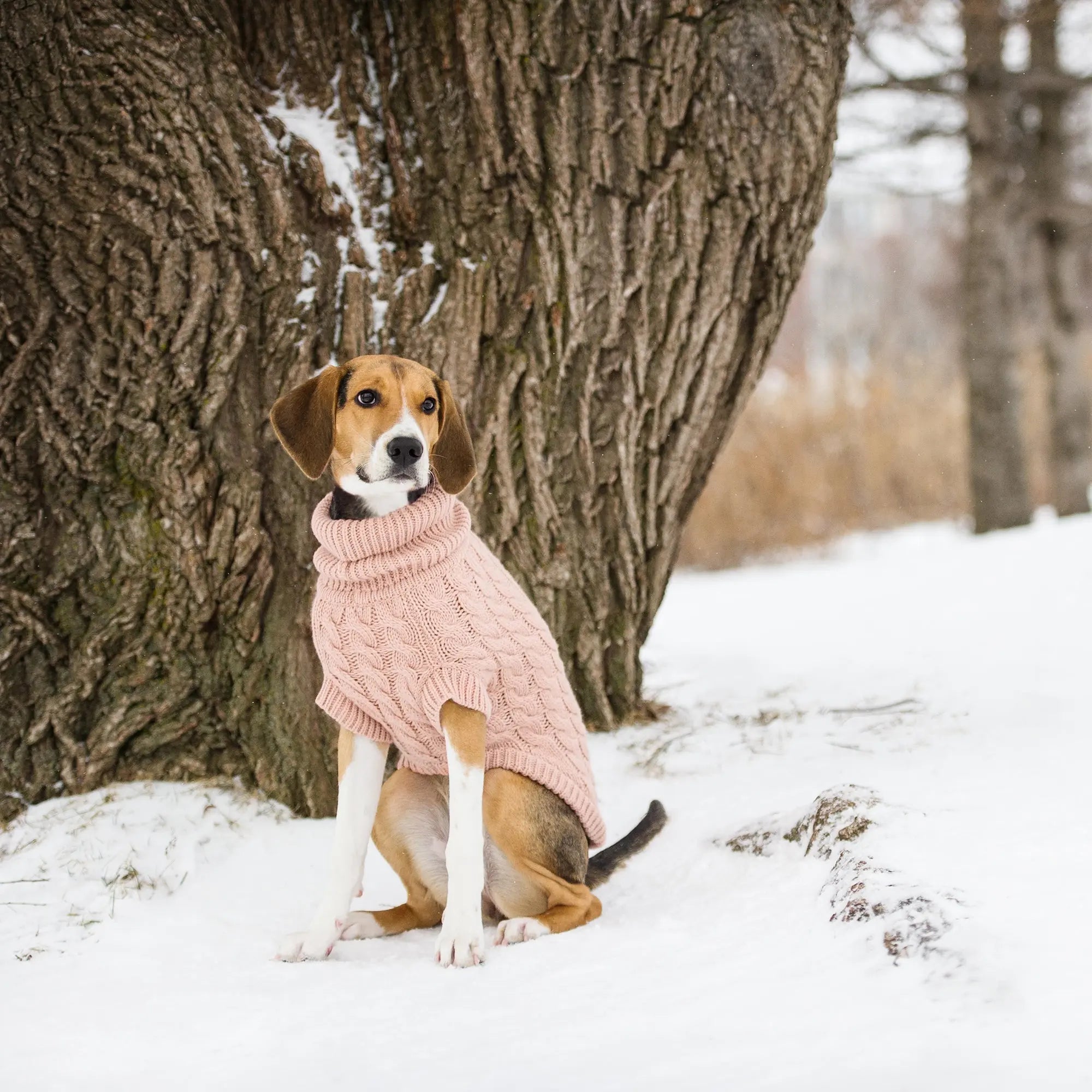 The Chalet Sweater - Pink Beige Antigone
