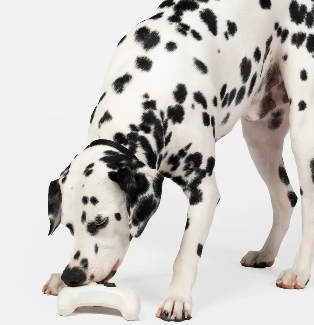 Game Console with Chicken Scent Dog Toy The Little Pooch