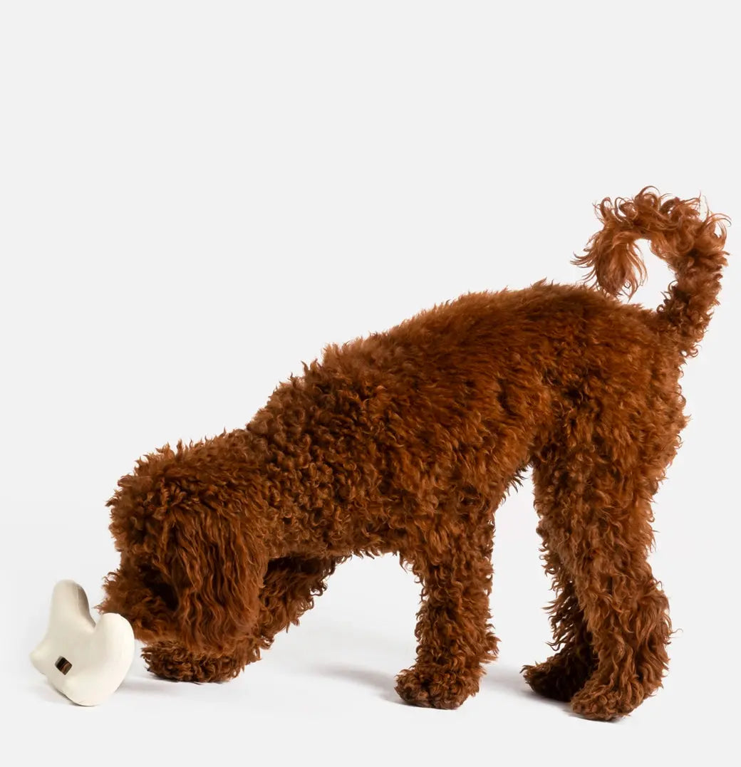 Game Console with Chicken Scent Dog Toy The Little Pooch