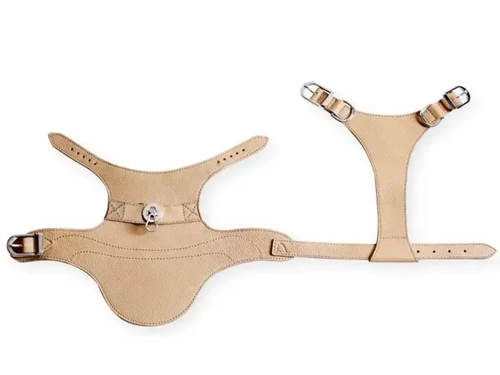 Quilted Leather Harness The Little Pooch