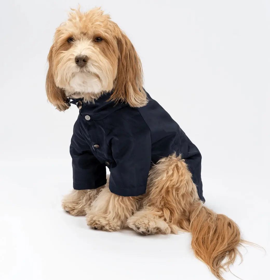 Jean-Paul Raincoat SilverPaw
