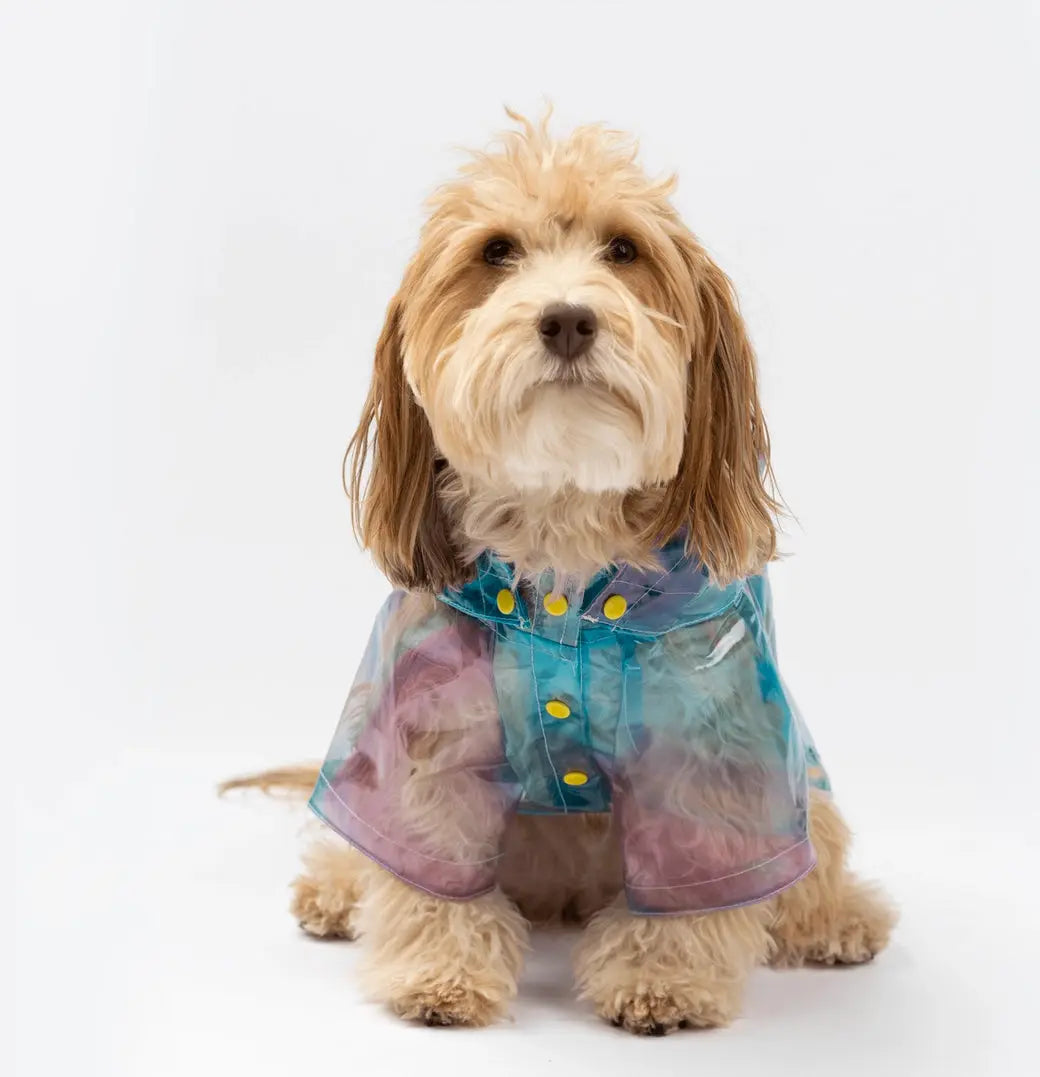 Kinney Dog Rainbow Raincoat SilverPaw