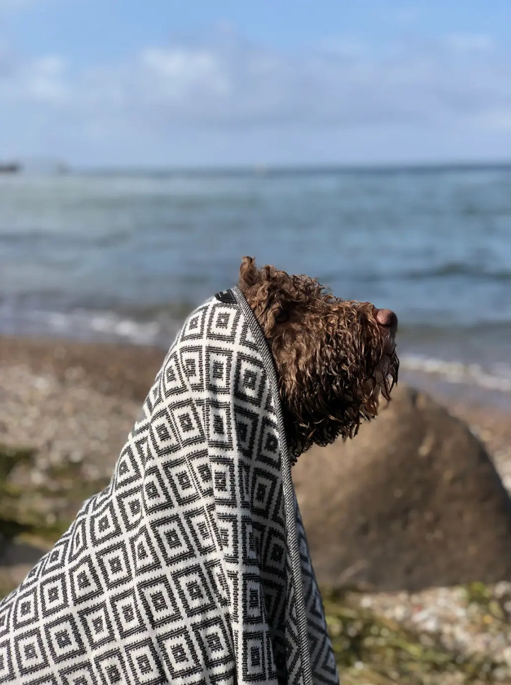 Linaa Luxury Dog/Cat Towel The Little Pooch