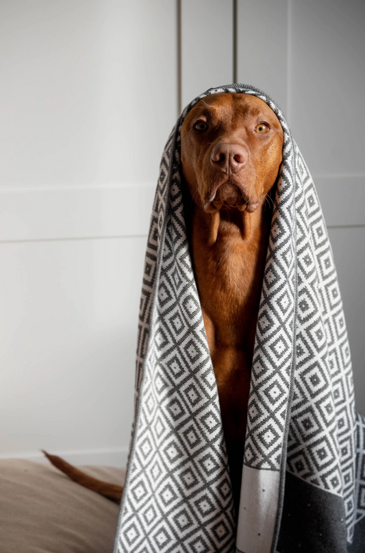 Linaa Luxury Dog/Cat Towel