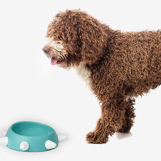 Spiked Inclined Bowl For Dogs – Eco-Friendly Made in Italy NICO