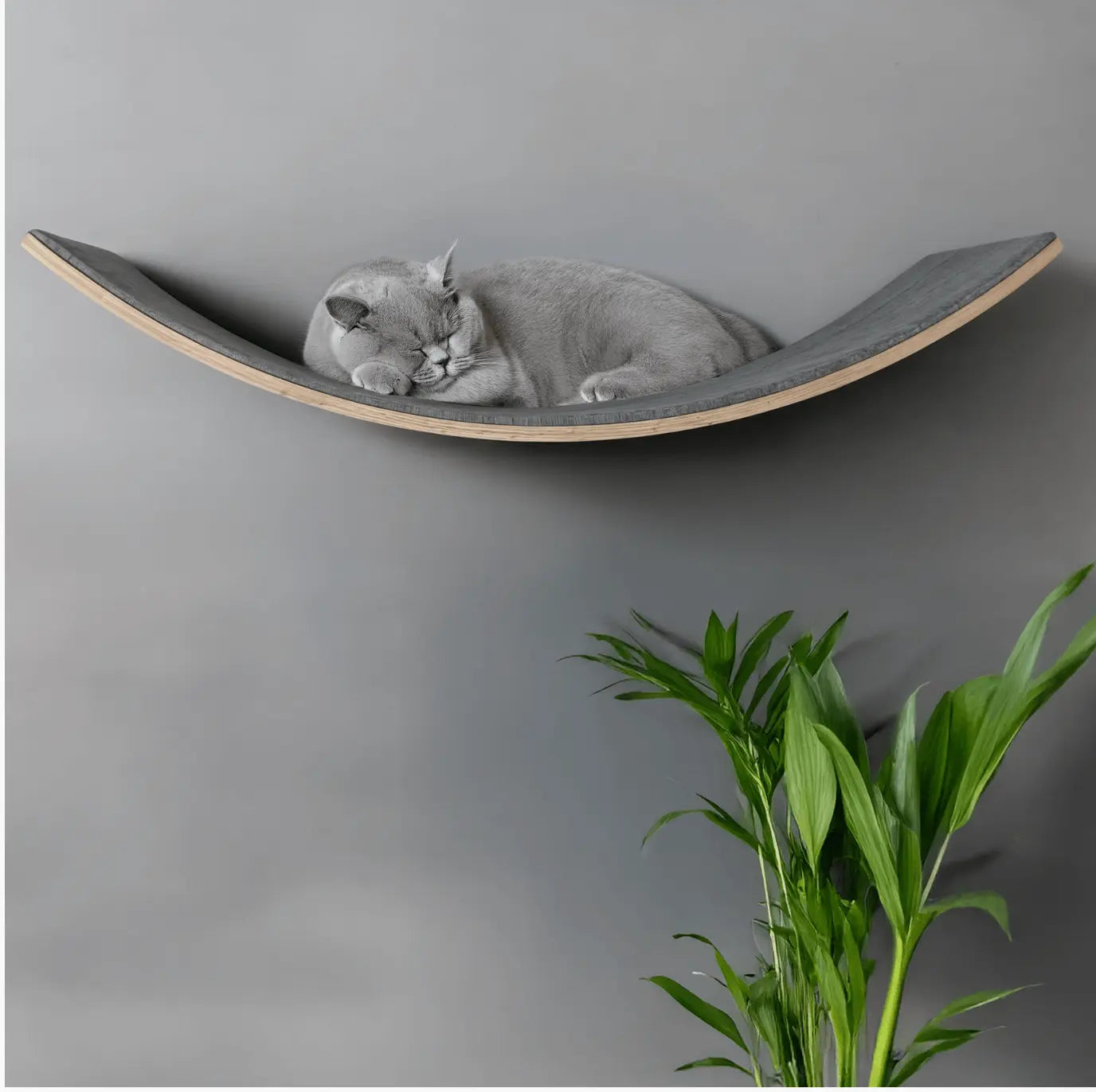 Loya Light Pet Cat Lounger LOYA LIGHT Pet Lounge, where modern design meets unparalleled comfort. Crafted from high-quality plywood, this pet lounge offers a warm, minimalist aesthetic that seamlessly integrates into any living space. Its ergonomic shape