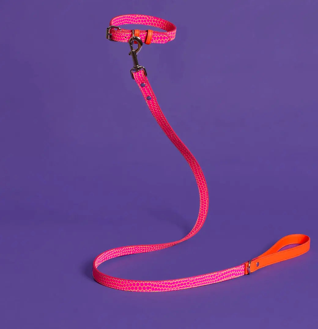 Embossed Dot Leather Leash & Collar The Little Pooch