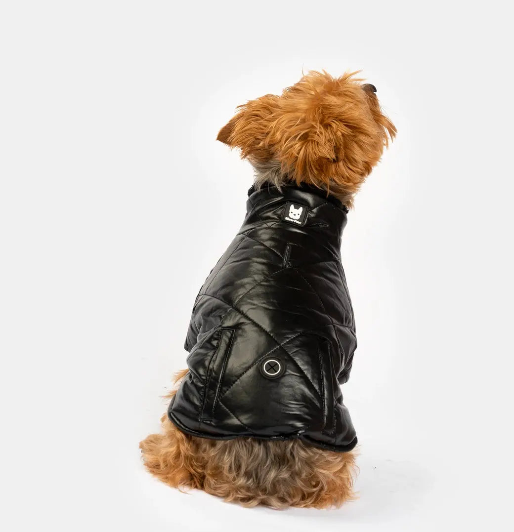 Phoenix Jacket - Black SilverPaw