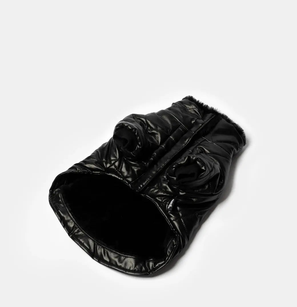 Phoenix Jacket - Black SilverPaw