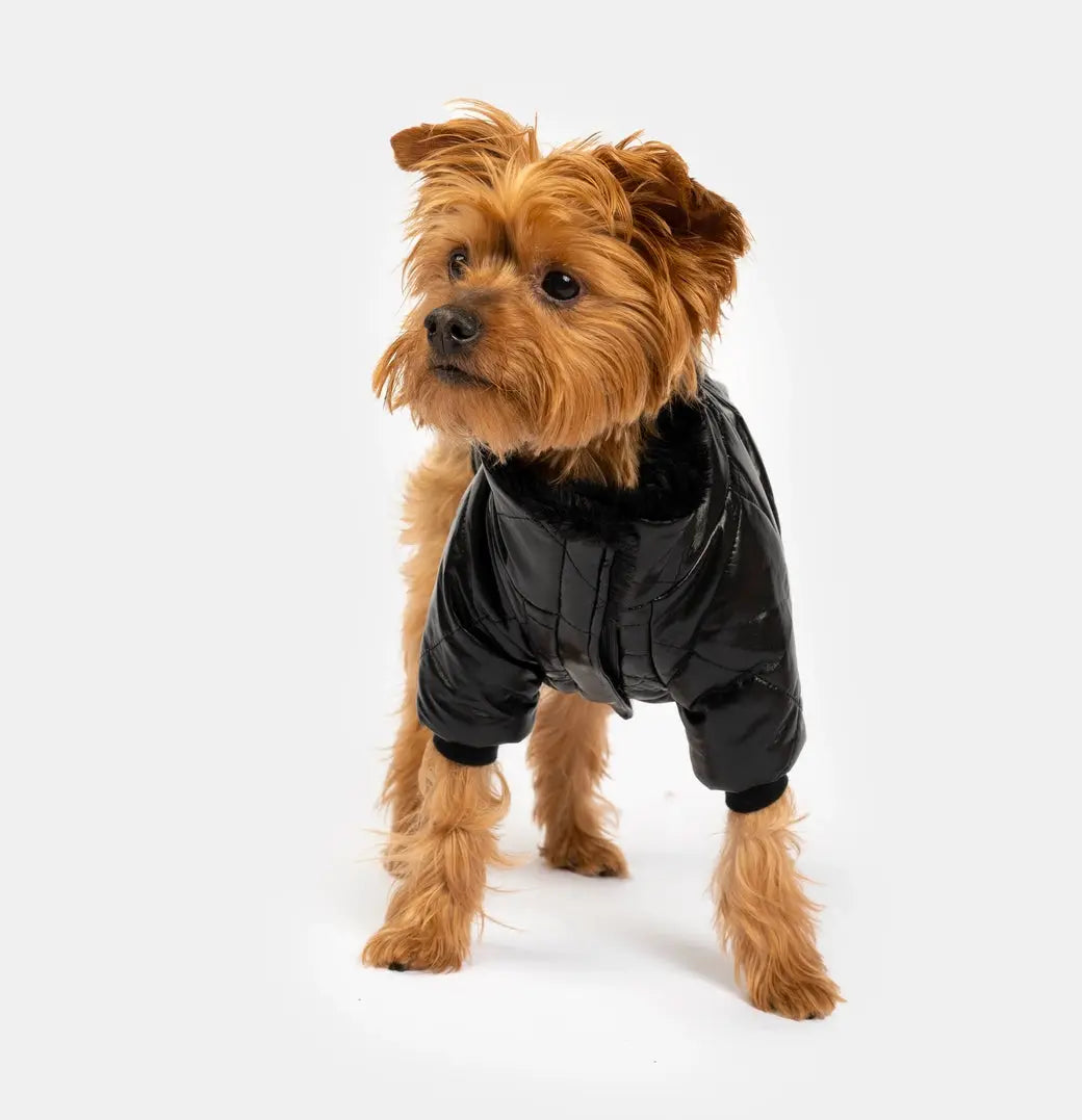 Phoenix Jacket - Black SilverPaw