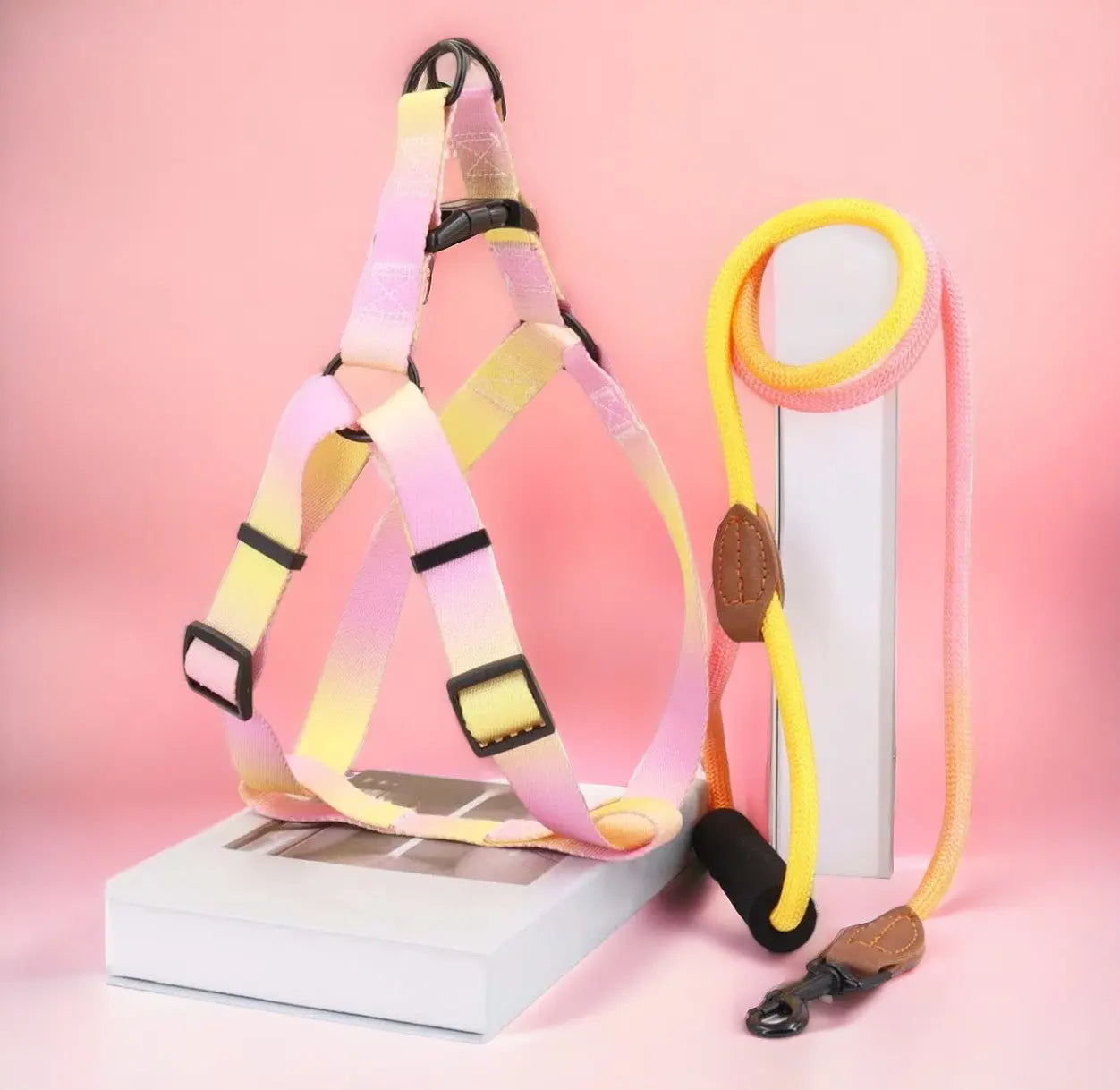 Ombre Harness and Leash Set The Little Pooch