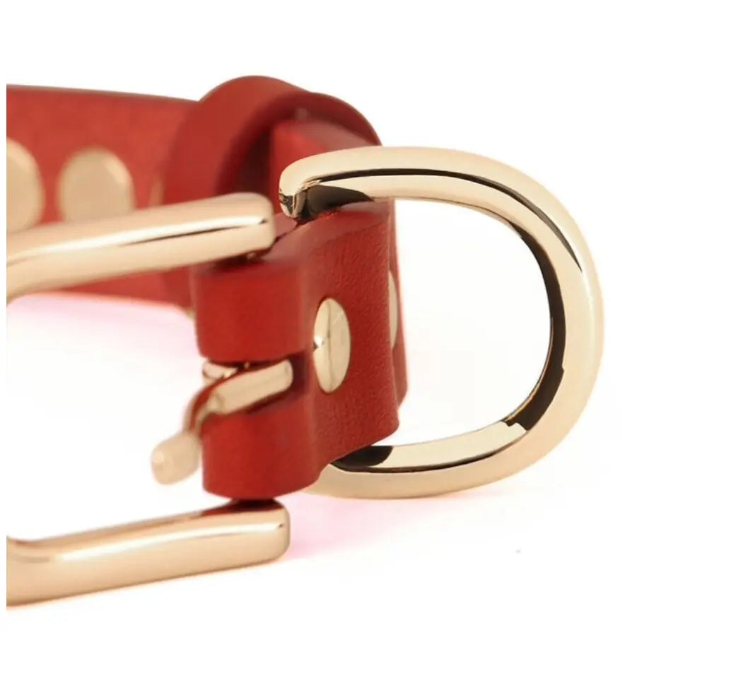 ROCKSTUD Leather Dog Collar Discover the ROCKSTUD Leather Dog Collar: chic, durable, and perfect for stylish pet parents. Elevate your pup's look today!Standard Collars