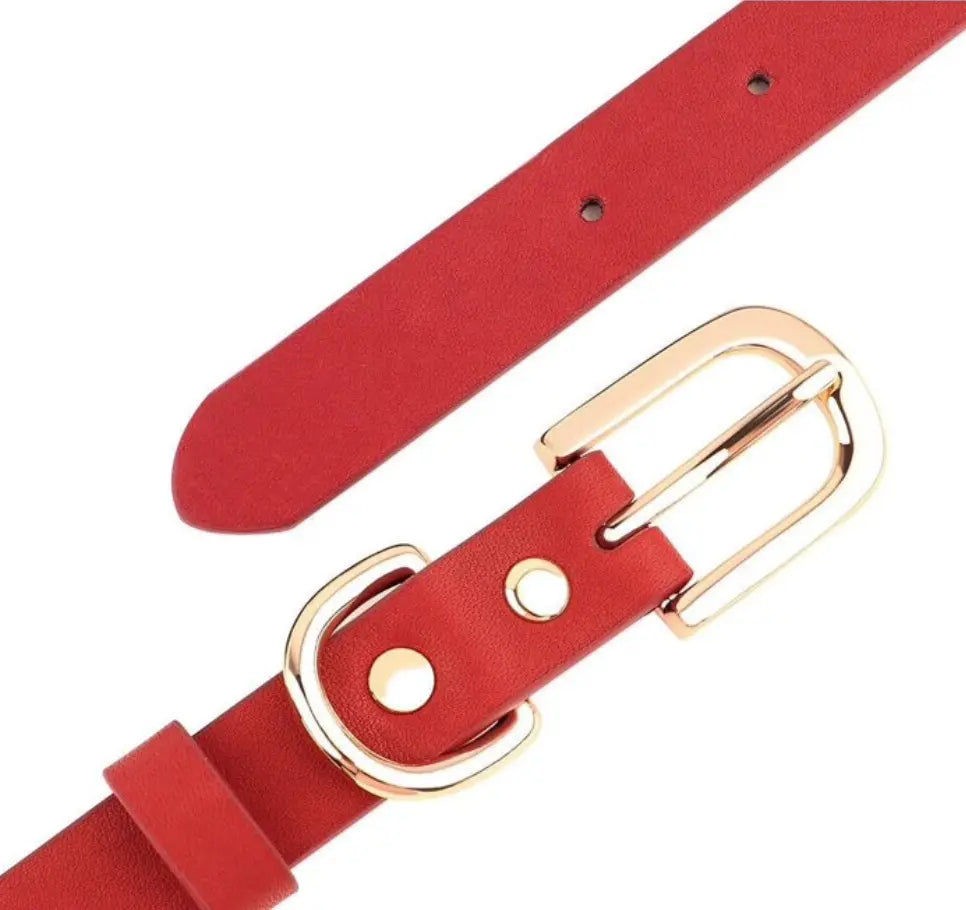 ROCKSTUD Leather Dog Collar Discover the ROCKSTUD Leather Dog Collar: chic, durable, and perfect for stylish pet parents. Elevate your pup's look today!Standard Collars