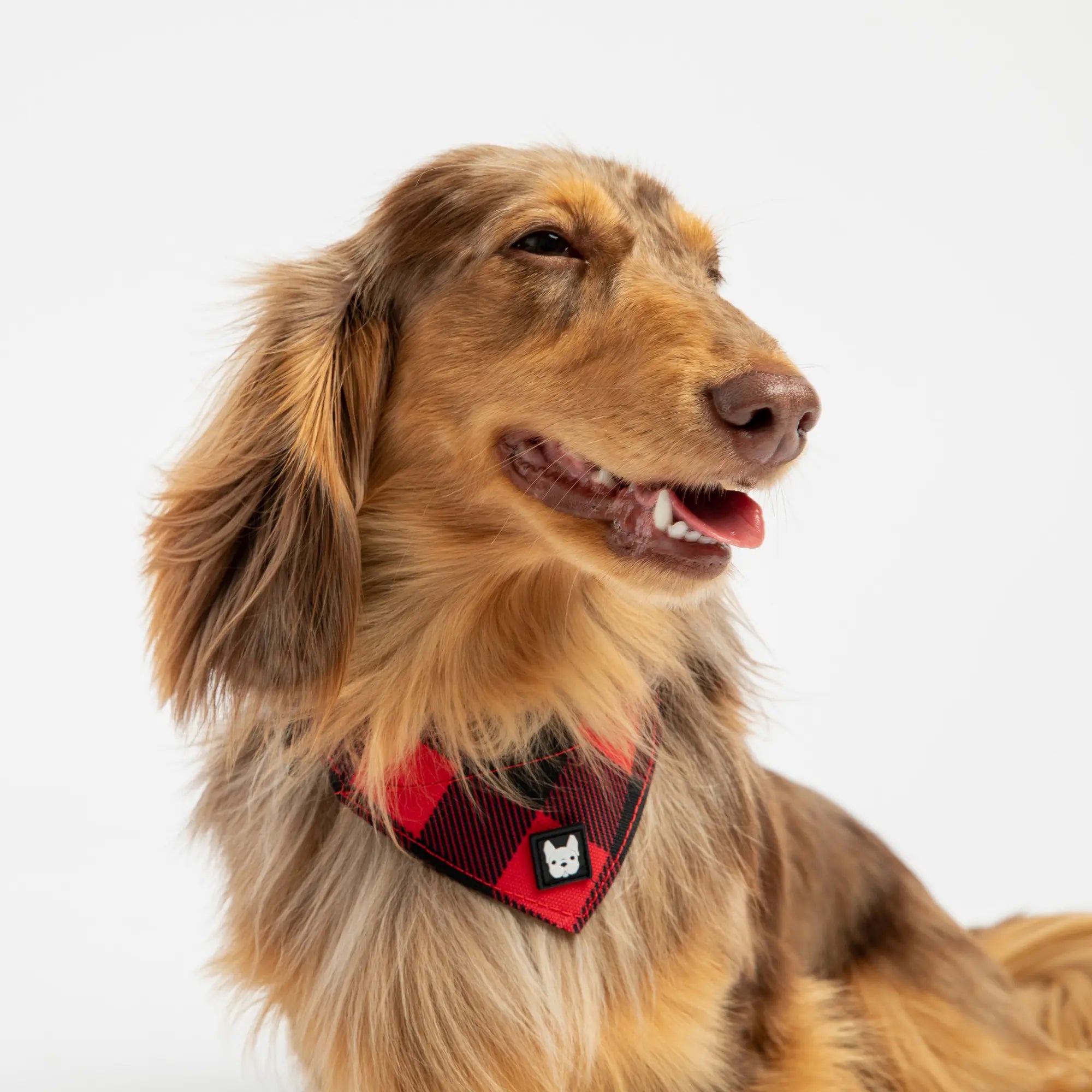 Poplin Bandana Dog Collar - Red Plaid Copper Nesoi