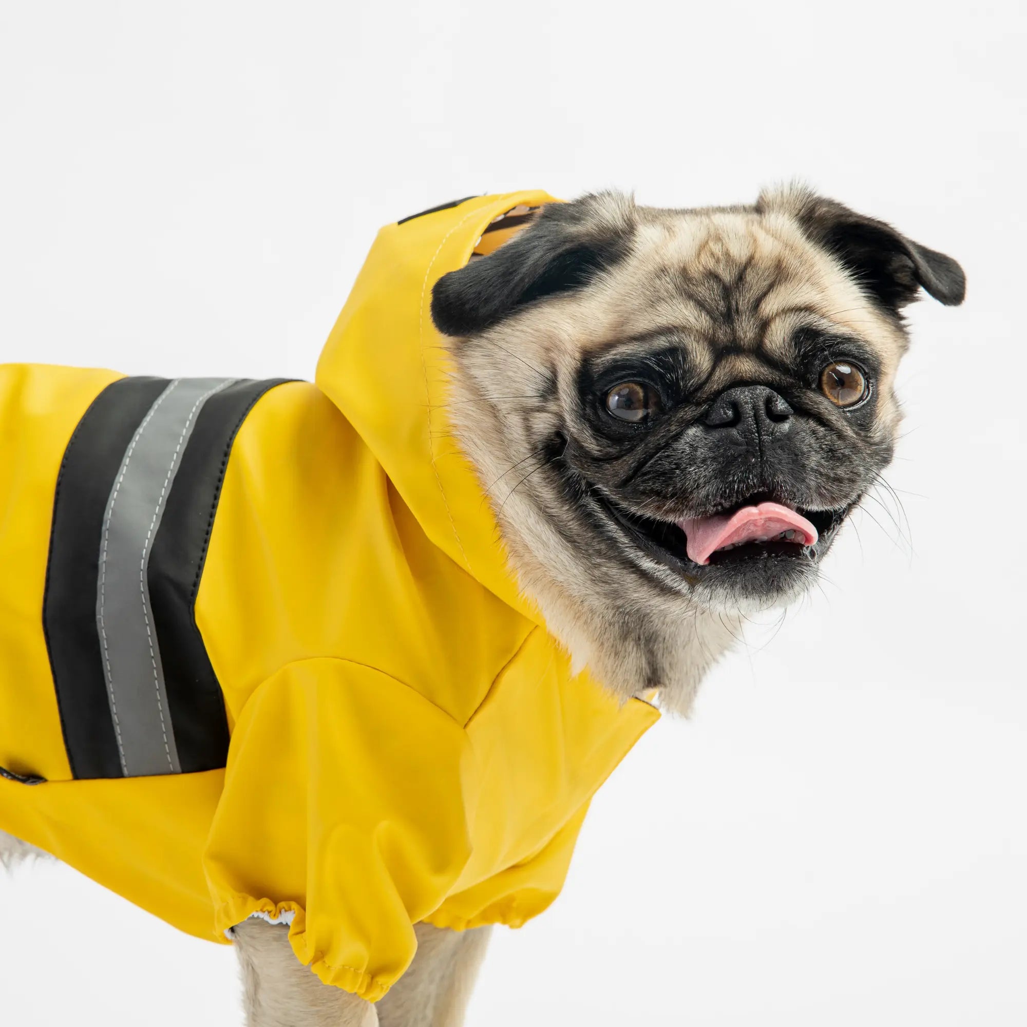 The Aden Dog Raincoat - Yellow Copper Nesoi