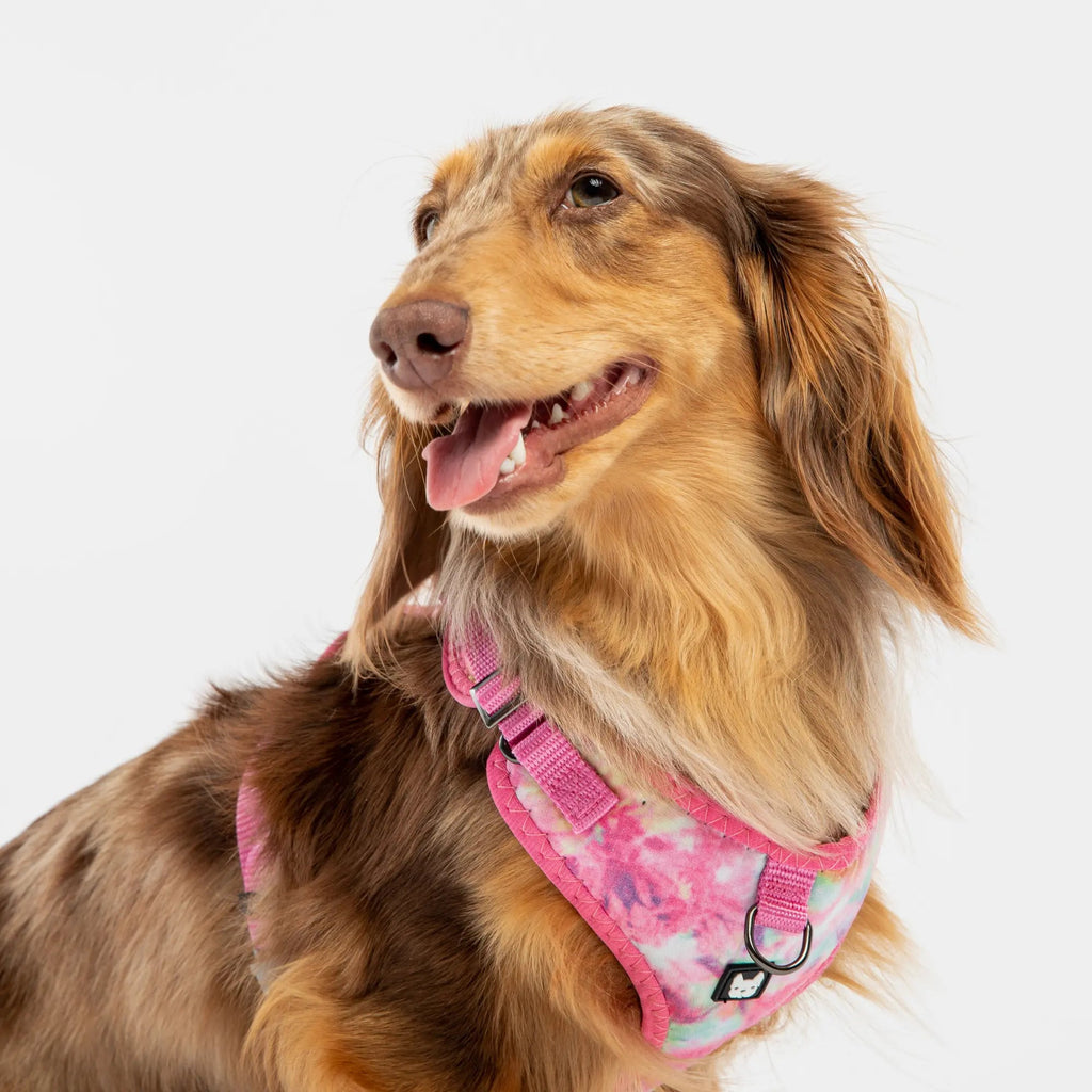 Poplin Dog Harness - Pink Tie Dye Copper Nesoi
