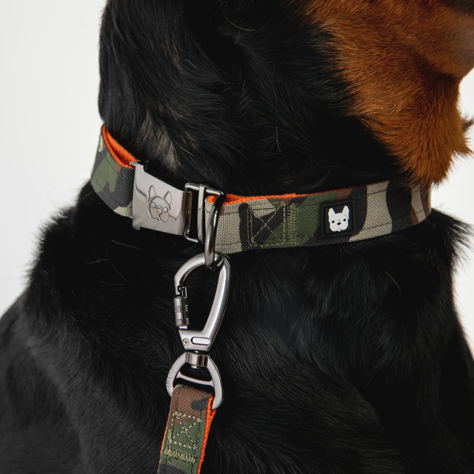 Poplin Dog Leash - Camo Print Copper Nesoi
