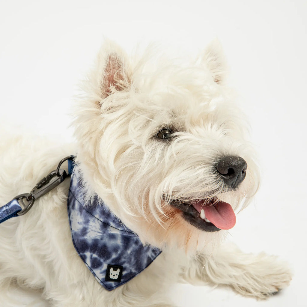 Poplin Dog Bandana Collar - Blue Tie Dye Copper Nesoi