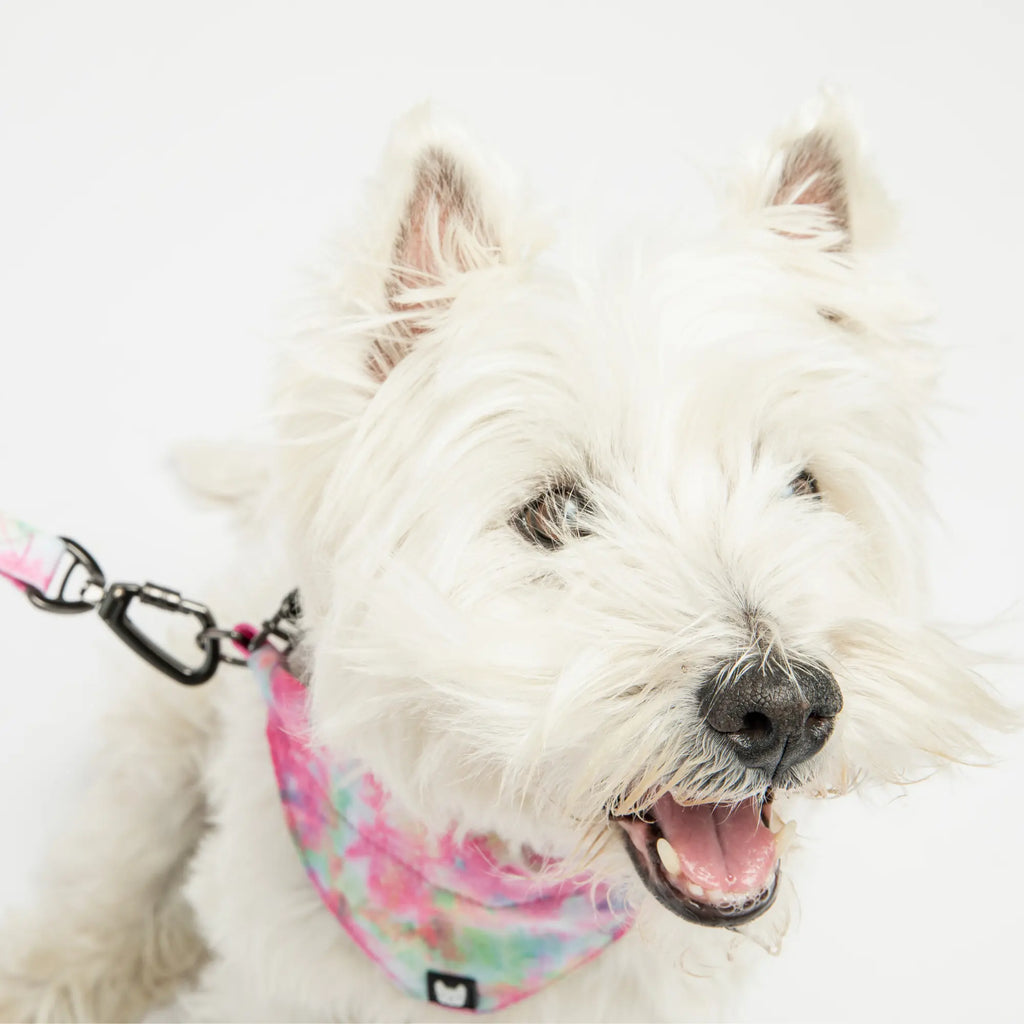 Poplin Dog Bandana Collar - Pink Tie Dye Copper Nesoi