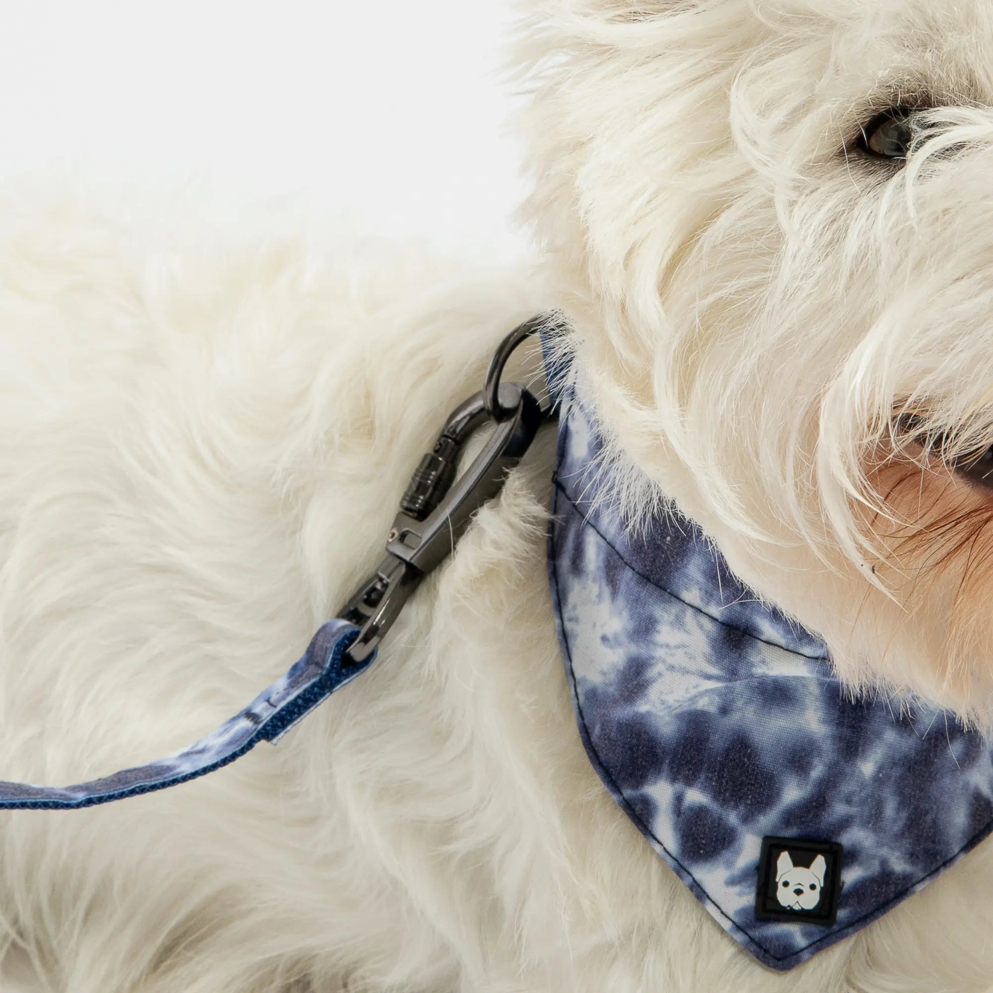 Poplin Dog Leash - Blue Tie Dye Copper Nesoi