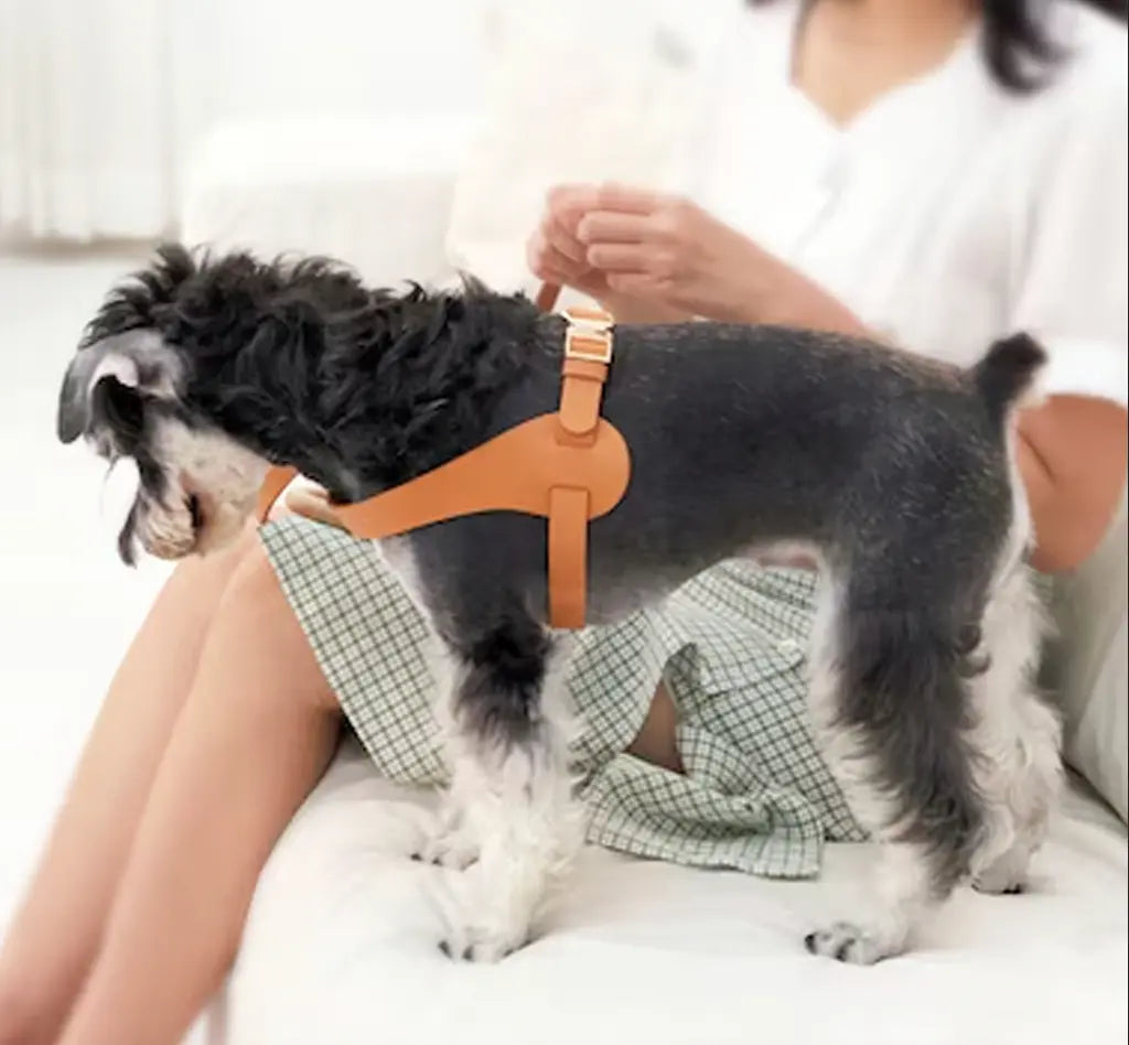 The Allistar Designer Leather Dog Harness The Little Pooch