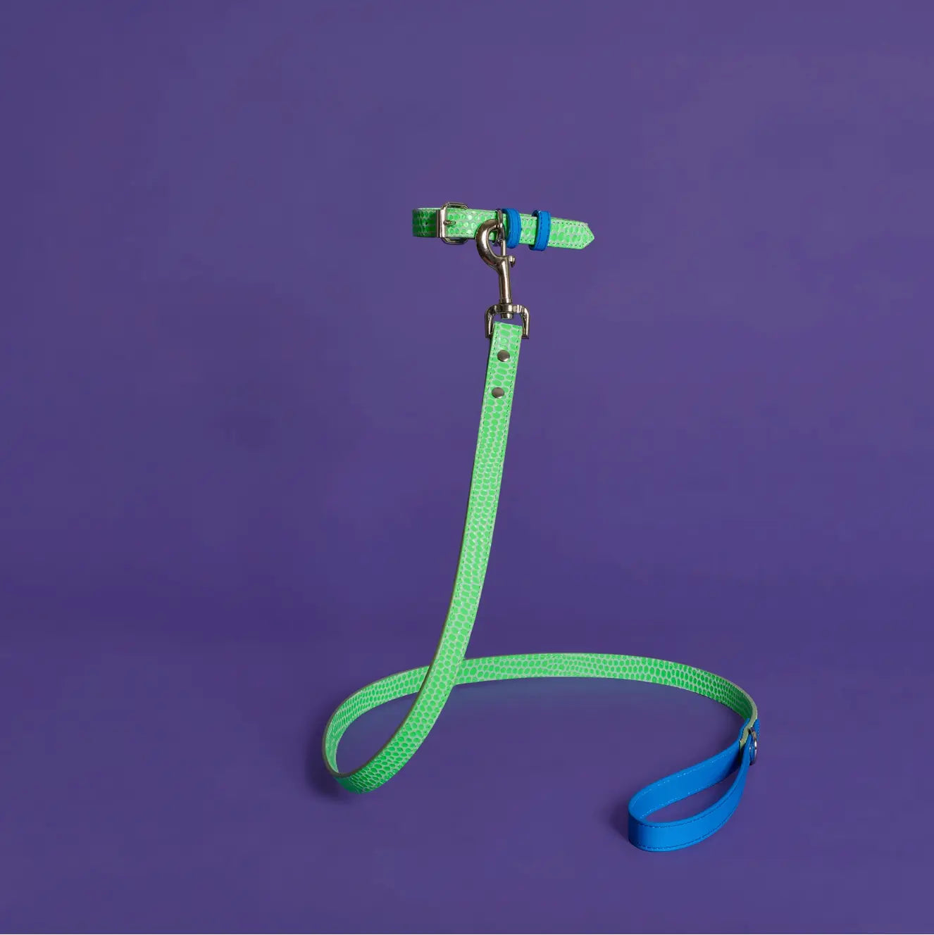 Embossed Dot Leather Leash & Collar The Little Pooch